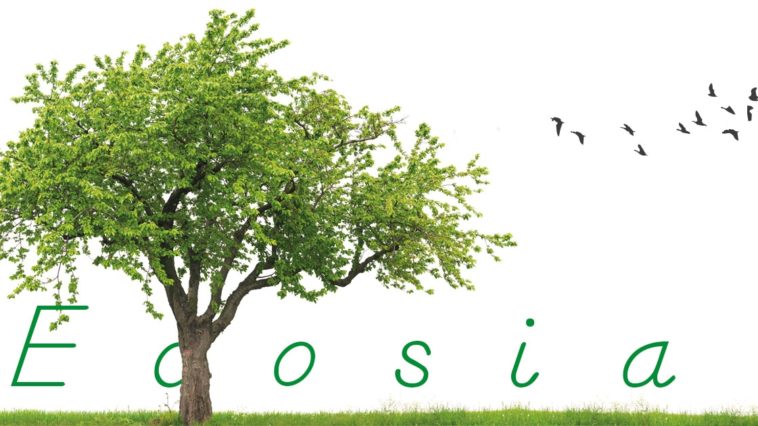 Ecosia: un motore di ricerca all'insegna del vivere "green" | Teens4Unity
