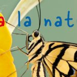 Un paese che ama la natura | Teens4Unity