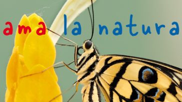 Un paese che ama la natura | Teens4Unity