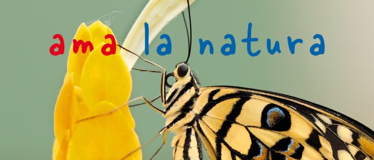 Un paese che ama la natura | Teens4Unity