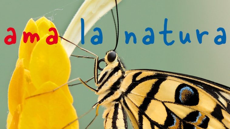 Un paese che ama la natura | Teens4Unity