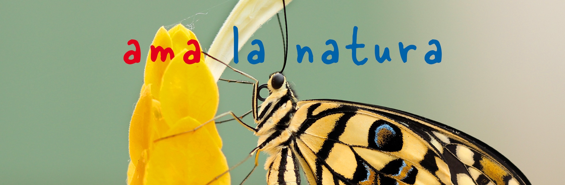 Un paese che ama la natura | Teens4Unity