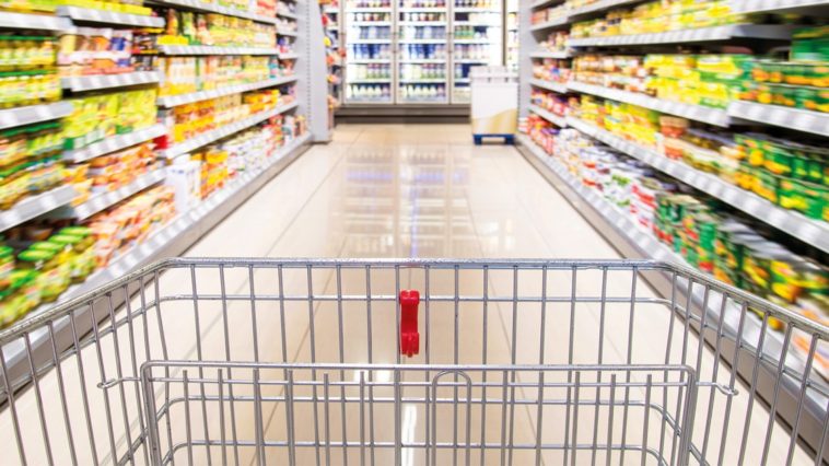 Quanto vale la mia scelta? Intervista a Maria Chiara Cefaloni | Teens4Unity