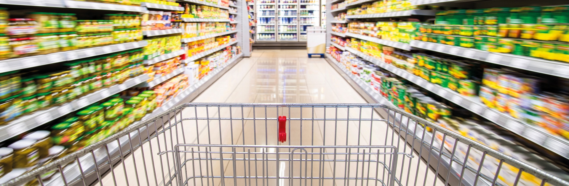 Quanto vale la mia scelta? Intervista a Maria Chiara Cefaloni | Teens4Unity