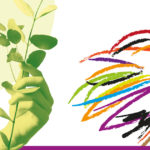 Una generazione ecologica | Teens4Unity