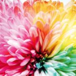 Globalizzazione… e i ragazzi nel mondo che ne pensano? | Teens4Unity