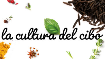 La cultura del cibo | Intervista a tre locali stranieri | Teens4Unity